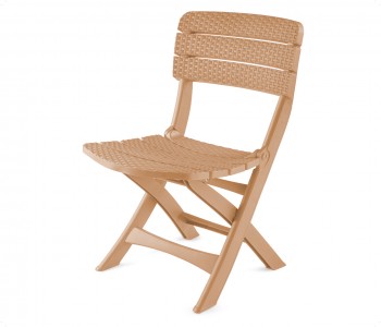Rattan Folding Chair
